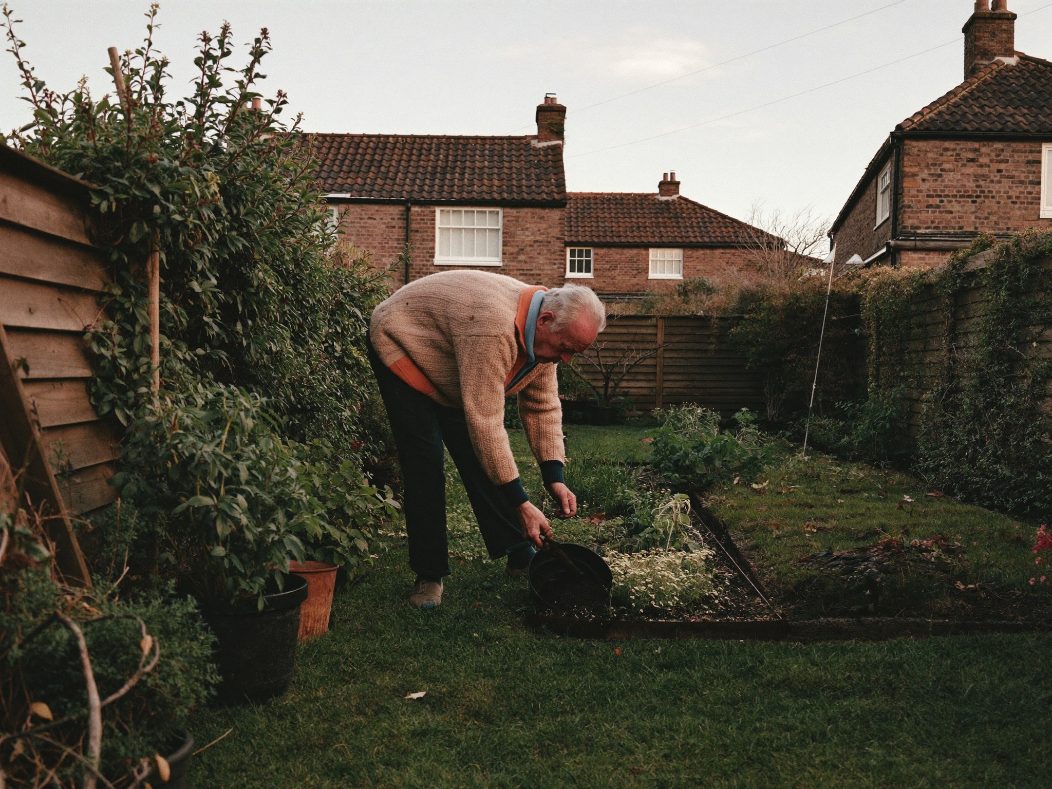 Elderly resident tending plants in his back garden, golden hour light